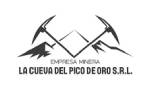 logos cepicon55